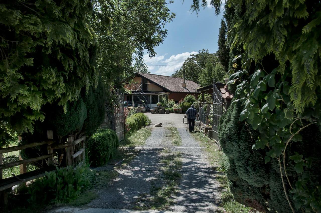 ויג'אנלו La Locanda Degli Elfi מראה חיצוני תמונה